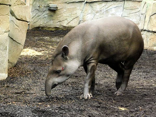 Allwetterzoo M&uuml;nster