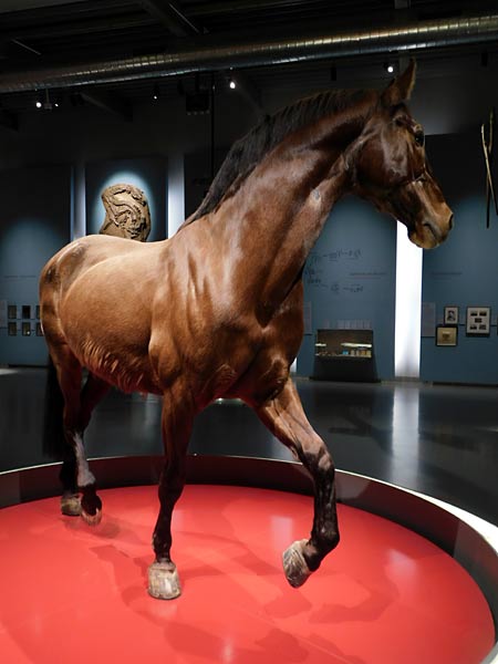 Allwetterzoo M&uuml;nster