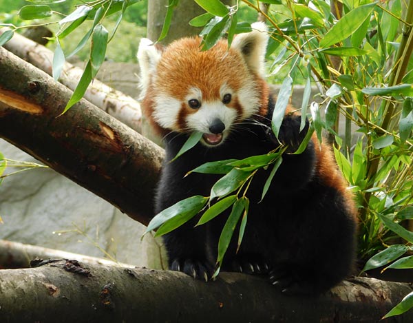 Allwetterzoo M&uuml;nster