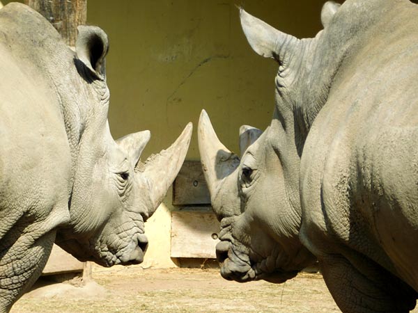 Allwetterzoo M&uuml;nster