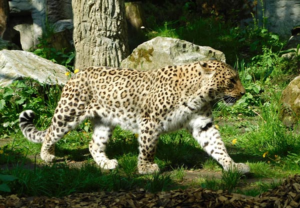 Allwetterzoo M&uuml;nster