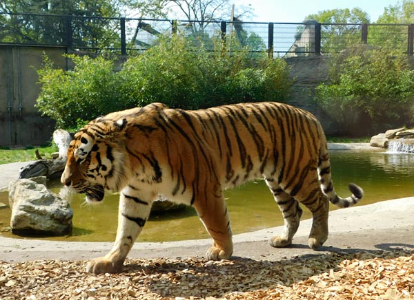 Allwetterzoo M&uuml;nster