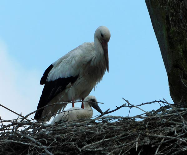 Allwetterzoo M&uuml;nster