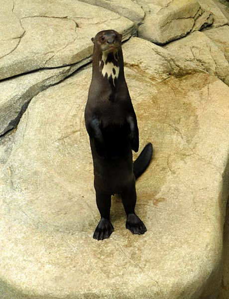 Allwetterzoo M&uuml;nster
