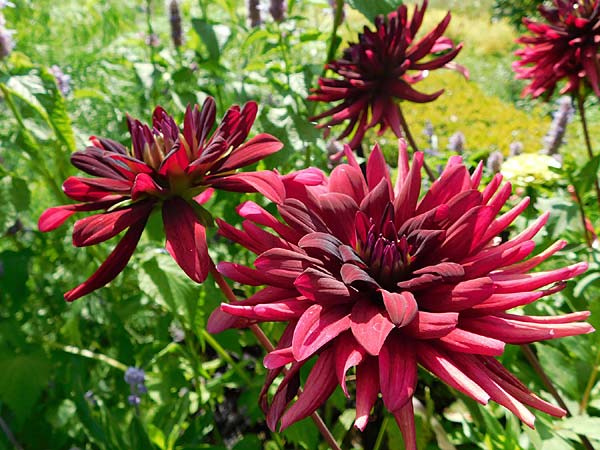 sommerliche Tour durch D&uuml;sseldorf-Benrath