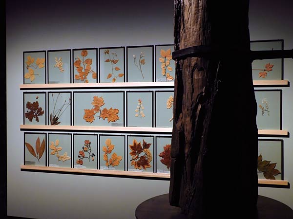 Ausstellung '&uuml;berLeben in der Eiszeit' im Ruhr Museum in Essen