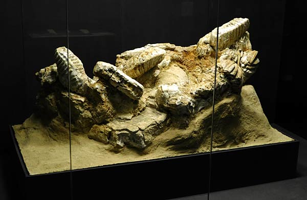 Ausstellung '&uuml;berLeben in der Eiszeit' im Ruhr Museum in Essen