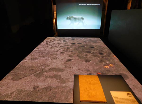 Ausstellung '&uuml;berLeben in der Eiszeit' im Ruhr Museum in Essen