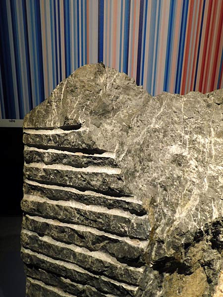 Ausstellung '&uuml;berLeben in der Eiszeit' im Ruhr Museum in Essen