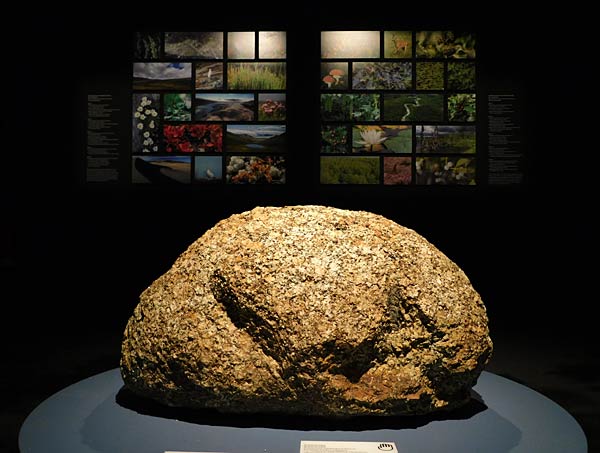 Ausstellung '&uuml;berLeben in der Eiszeit' im Ruhr Museum in Essen