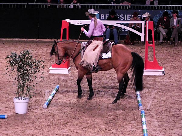 Messe 'Equitana' 2025 in der Messe Essen