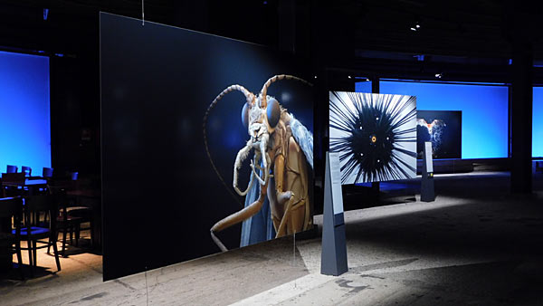 Gasometer Oberhausen