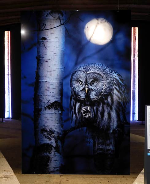 Ausstellung 'Mythos Wald' im Gasometer Oberhausen