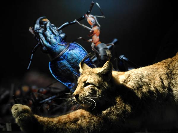 Ausstellung 'Mythos Wald' im Gasometer Oberhausen