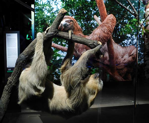 Ausstellung 'Mythos Wald' im Gasometer Oberhausen