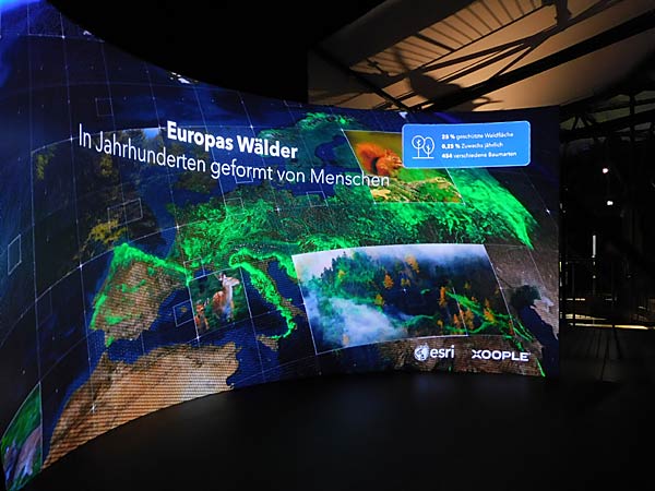 Ausstellung 'Mythos Wald' im Gasometer Oberhausen