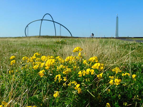 Halde Hoheward und Zeche Ewald