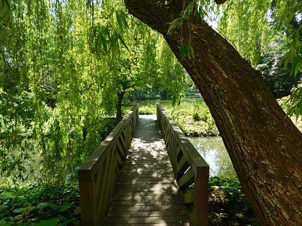 Museum Insel Hombroich in Neuss