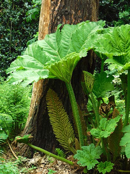 Museum Insel Hombroich in Neuss