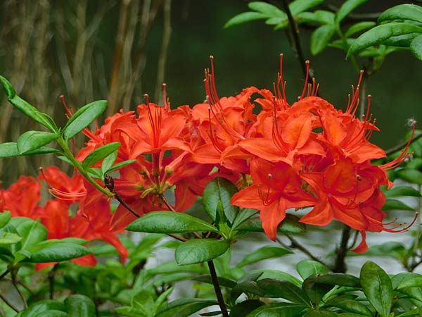 Museum Insel Hombroich in Neuss