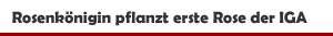 Pflanzung der ersten Rose im IGA-Zukunftsgarten Rheinpark in Duisburg durch die Steinfurther R&ouml;senk&ouml;nigin Theresa Hildebrand