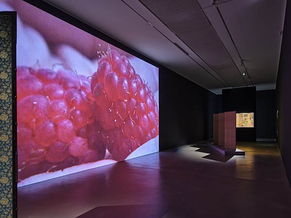 Ausstellung 'incarnate' in der Langen Foundation in Neuss