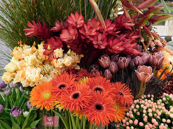 Fachmesse 'IPM' 2025 in der Messe Essen