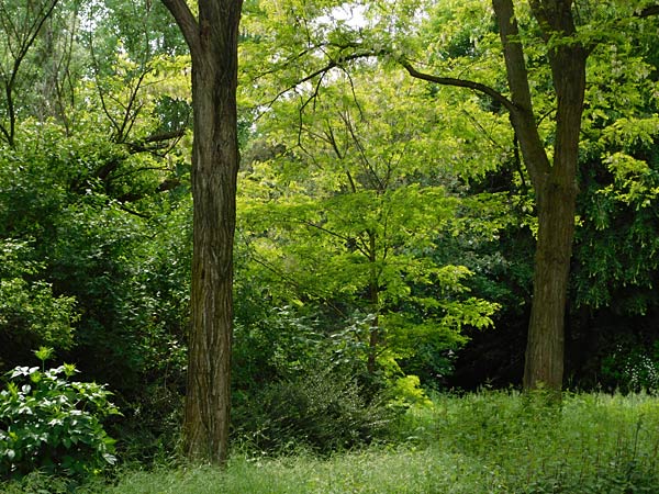 Rundgang durch den Landschaftspark Duisburg-Nord mit anderem Blick auf wenig ausgetretenen Wegen