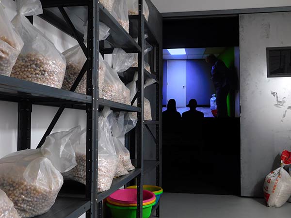 Ausstellung 'Mika Rottenberg. Queer Ecology' im Lehmbruck Museum in Duisburg