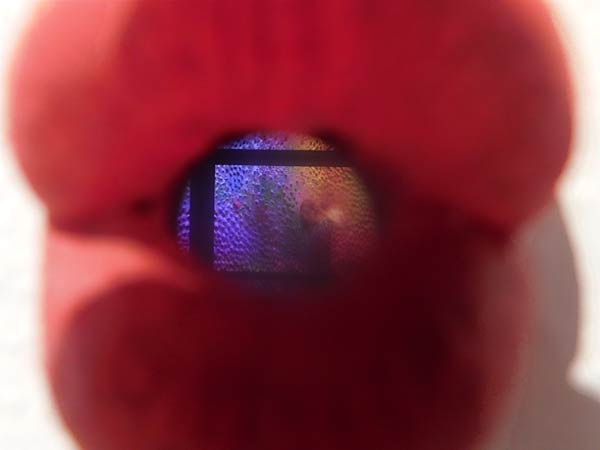 Ausstellung 'Mika Rottenberg. Queer Ecology' im Lehmbruck Museum in Duisburg