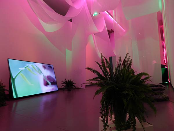 Ausstellung 'Sex Now' im NRW-Forum in D&uuml;sseldorf