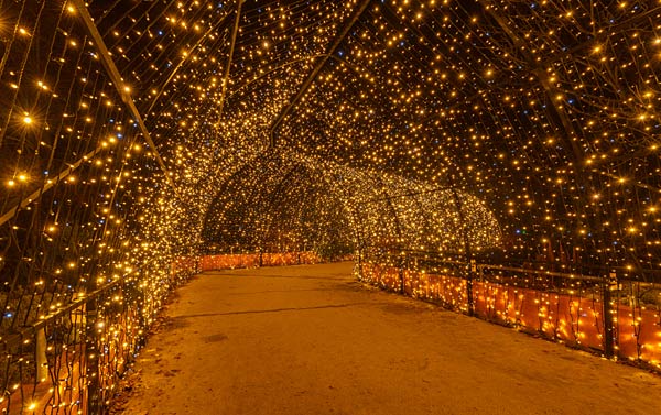 'Xmas Lights' 2025 im Allwetterzoo in M&uuml;nster