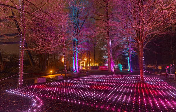 'Xmas Lights' 2025 im Allwetterzoo in M&uuml;nster