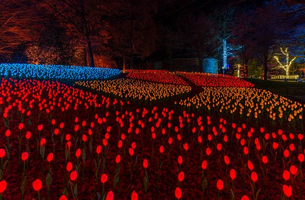 'Xmas Lights' 2025 im Allwetterzoo in M&uuml;nster