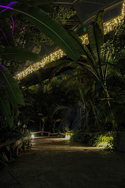 'Xmas Lights' 2025 im Allwetterzoo in M&uuml;nster