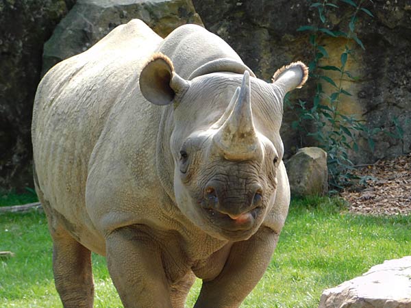 R&uuml;ckblick und Ausblick 2025/2026 im Zoo Krefeld,