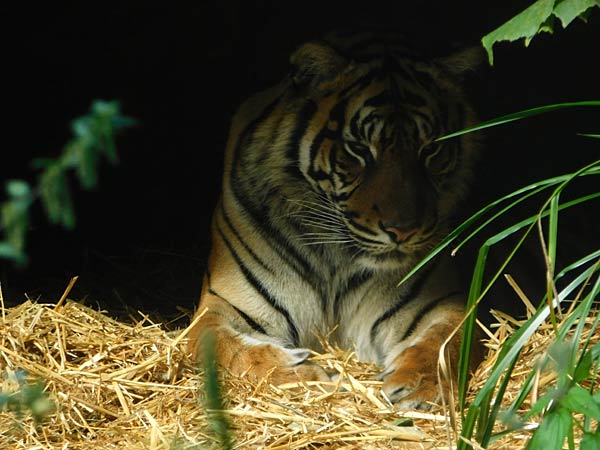 R&uuml;ckblick und Ausblick 2025/2026 im Zoo Krefeld,