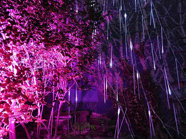 'Zoolichter' 2025 im Zoo Duisburg