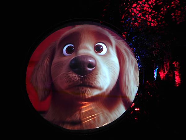 'Zoolichter' 2025 im Zoo Duisburg