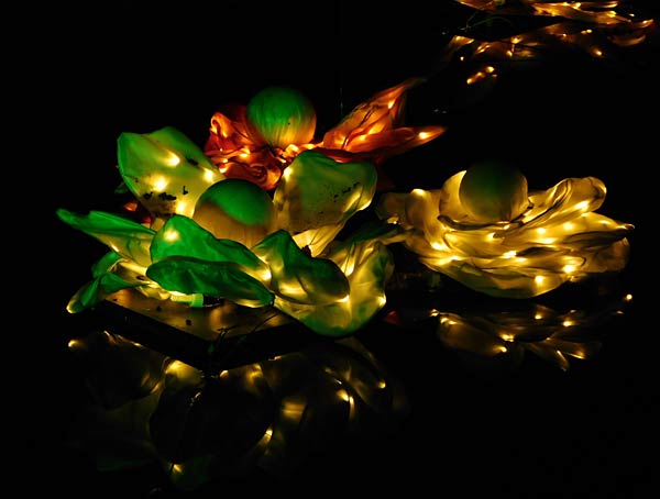 'Zoolichter' 2025 im Zoo Duisburg