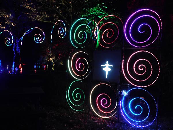 'Zoolichter' 2025 im Zoo Duisburg