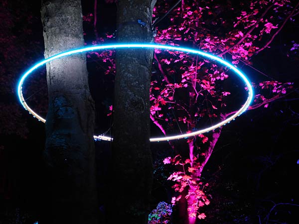 'Zoolichter' 2025 im Zoo Duisburg