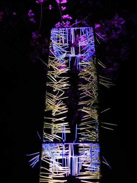 'Zoolichter' 2025 im Zoo Duisburg