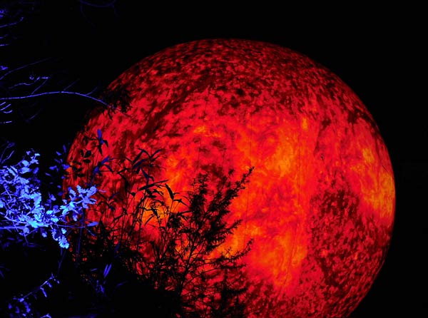 'Zoolichter' 2025 im Zoo Duisburg