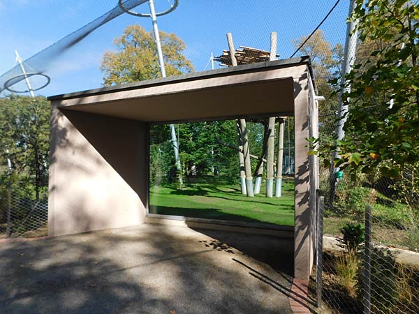 Eröffnung des 'MenschenaffenWald' im Zoo Krefeld