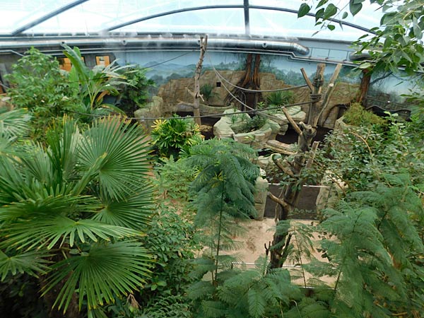 Allwetterzoo Münster
