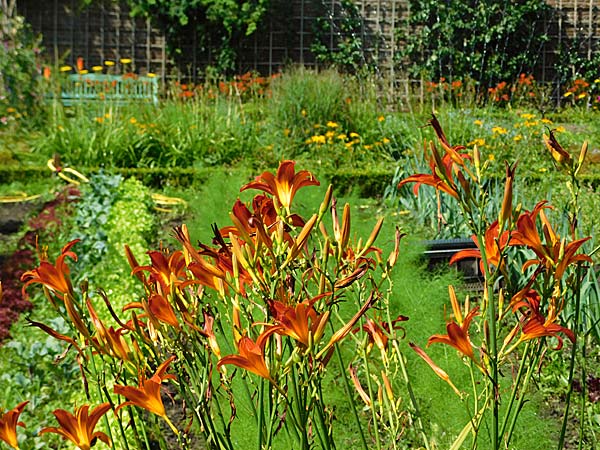 sommerliche Tour durch Düsseldorf-Benrath