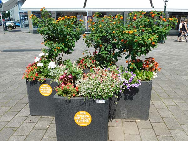 sommerliche Tour durch Düsseldorf-Benrath