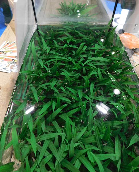 Messe 'boot' D&uuml;sseldorf 2026