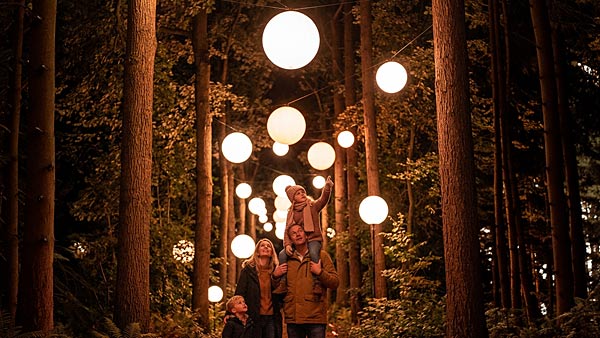Lichtshow 'Burgers� Light' im Burgers' Zoo in Arnheim